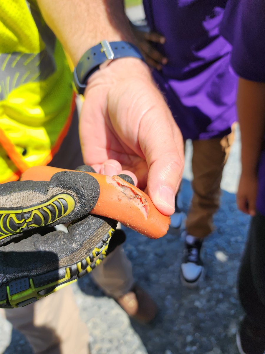 rubycostea tweet media