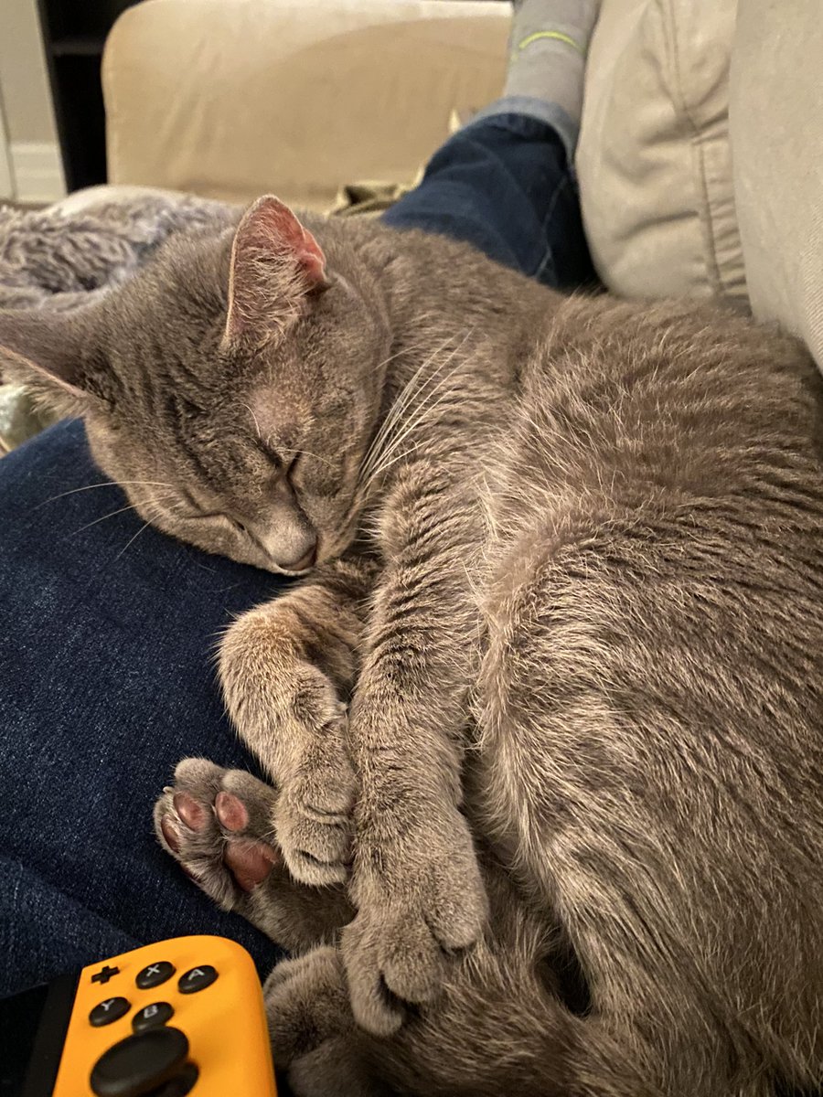 ShiningEspeon tweet media