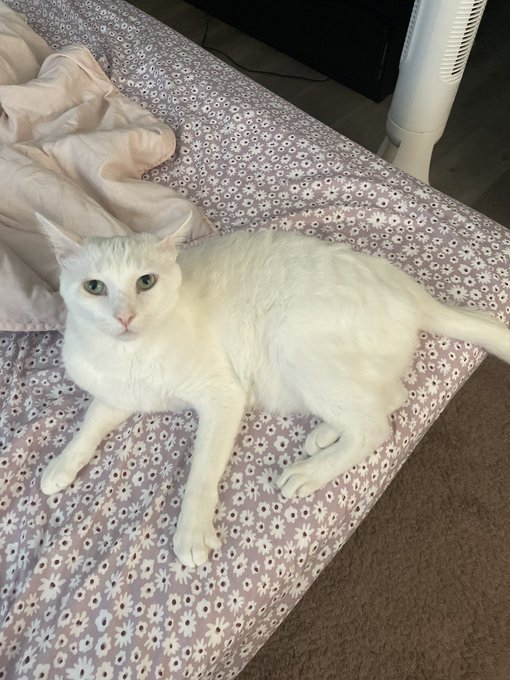 We just took a crazy long, much needed nap 😩 https://t.co/r21OLcZSti