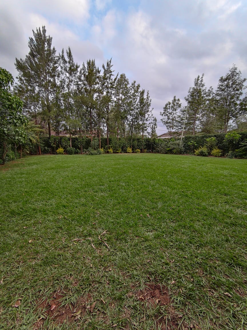 Spacious Studios, 1, 2 , 3 & 4 Bedroom Elegant Apartments For Rent in Nairobi|Karen  With Very Flexible Payment Plan

View on:primeplush.co.ke

Call: 0795370306

Benjamin Mendy Sondu Raila The UN Jurrien Timber #ReleaseJuliusKamau #WhoOwnsTheseBillions Wednesday to Friday