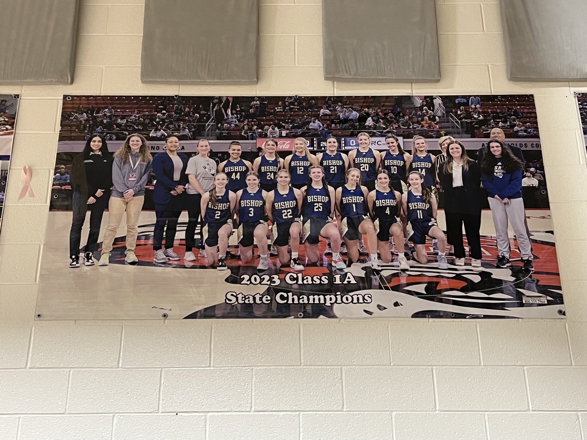 The 2022-23 Varsity Lady Villains State Championship picture is now up inside the @BMHSVillains gym! #TVLVS
