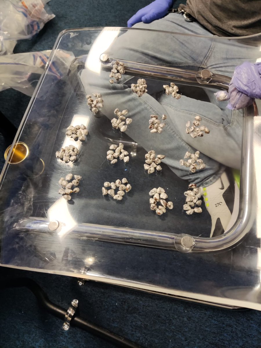 Greenwich MPS tweet media