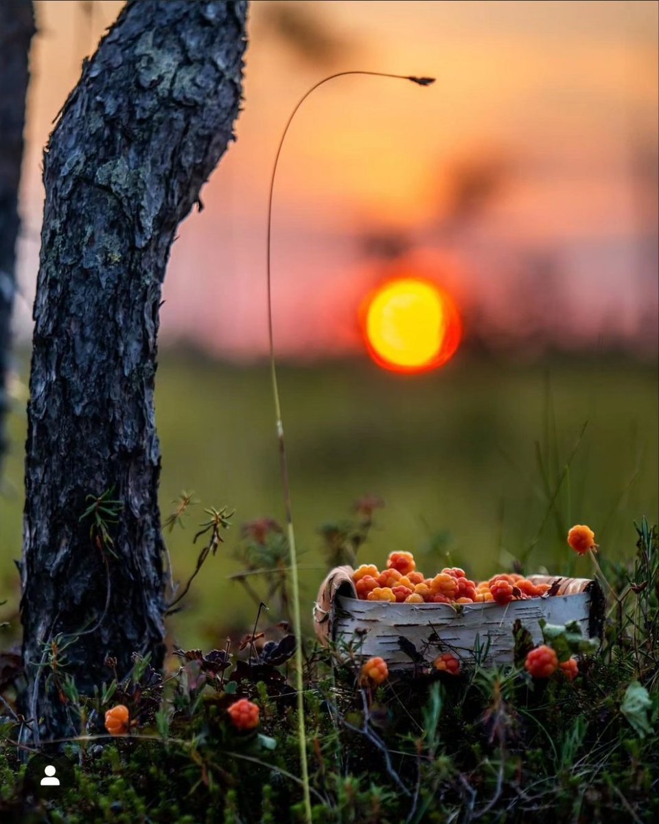 July moment🌞 #cloudverry #ranua