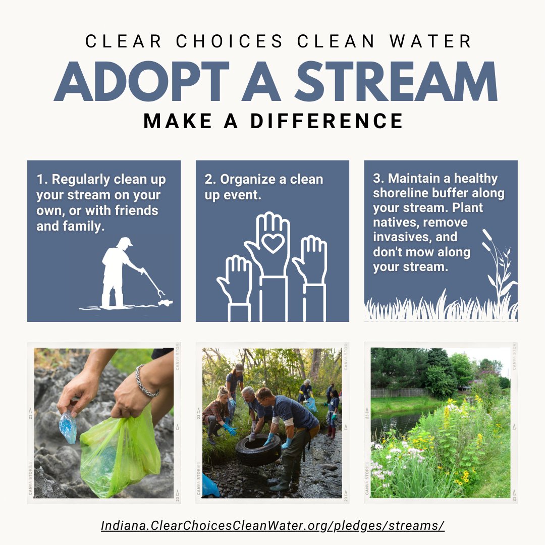 When adopting a stream, you can make a difference through regular clean-ups alone, with friends and family, or by organizing a large clean-up event. Take the pledge to adopt a stream at
indiana.clearchoicescleanwater.org/pledges/stream….