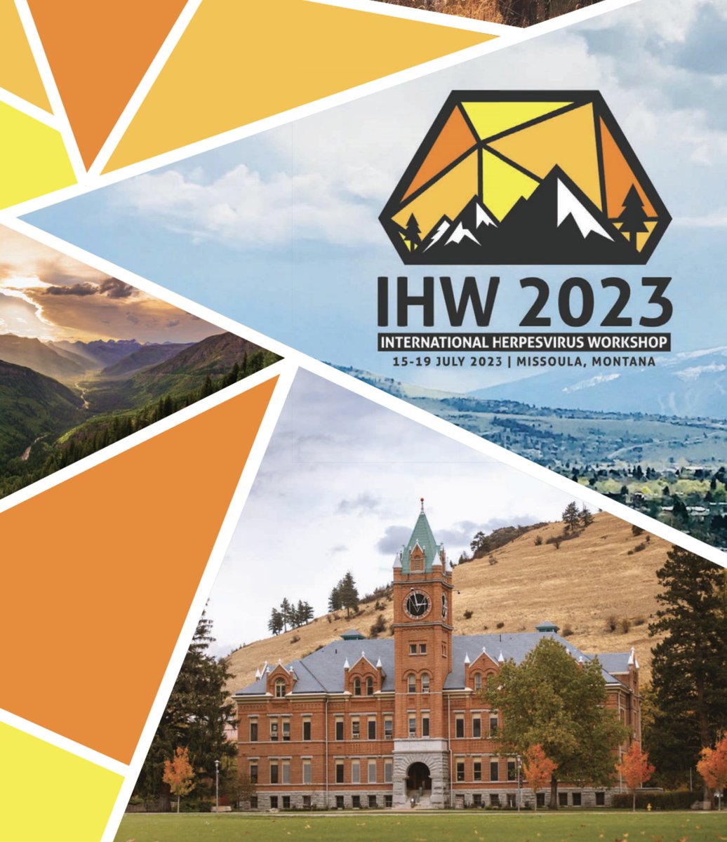 It's time for herpes! Very much looking forward to attending the first in-person International Herpesvirus Workshop since 2019. This will be a vibrant meeting to catch up on all things herpesviruses. #IHW2023 #umt #missoula #herpes #herpesvirus #vzv #cryoem #stanford #drslo