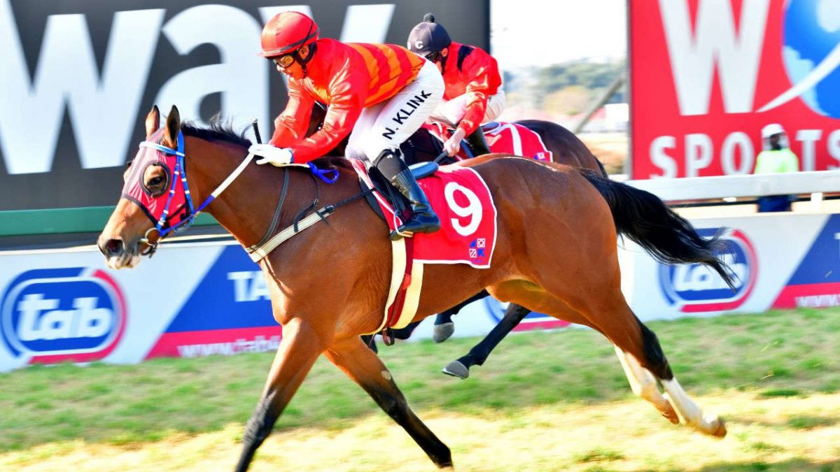 Read more on De Kock's World Pool Gold Cup Entry Runs On Saturday on Sporting Post, bringing you the latest in Horse Racing News, Previews and Reviews.
https://t.co/6AHLibs9pJ https://t.co/zRxHqM9w4n