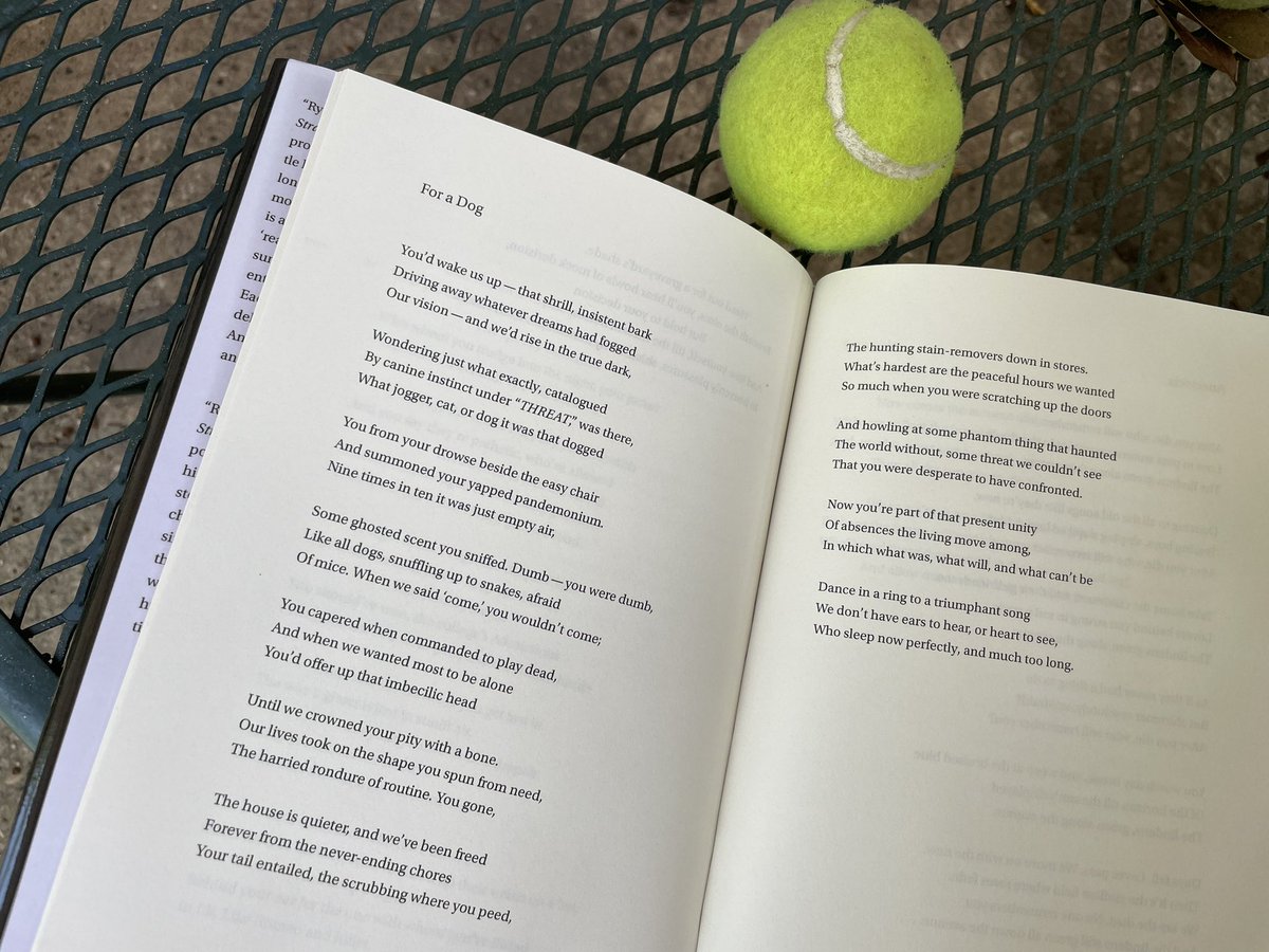smallestleaf's tweet photo. “Now you’re part of that present unity / Of absences the living move among, / In which what was, what will, and what can’t be / Dance in a ring to a triumphant song…” - #RyanWilson’s “To a Dog” in his collection “The Stranger World” #poetry #poeticform #terzarima #grief https://t.co/cC3EZziMAk