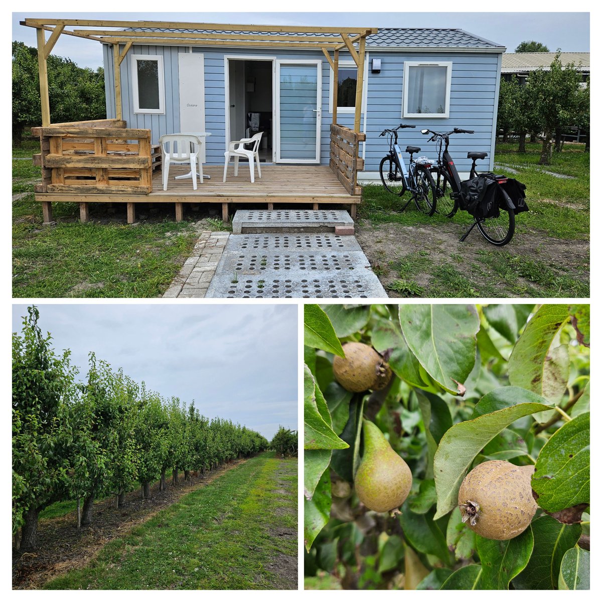 spontanity's tweet photo. Onze fietsen zijn een lang weekend op vakantie.
#Landstoof
#Hengstdijk https://t.co/HqabUDWDa3