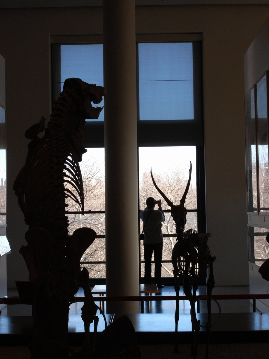 On Thursday 20 July 2023 Lund Humphries author Dinah Casson will give a talk on 'Collections and consequences' at the <a href="/sciencemuseum/">Science Museum</a>!
Sign up via this link: my.sciencemuseum.org.uk/339519/339520
This event is at Dana Studio, Level 1, Dana Research Centre and Library, 165 Queen's Gate, SW7 5HD