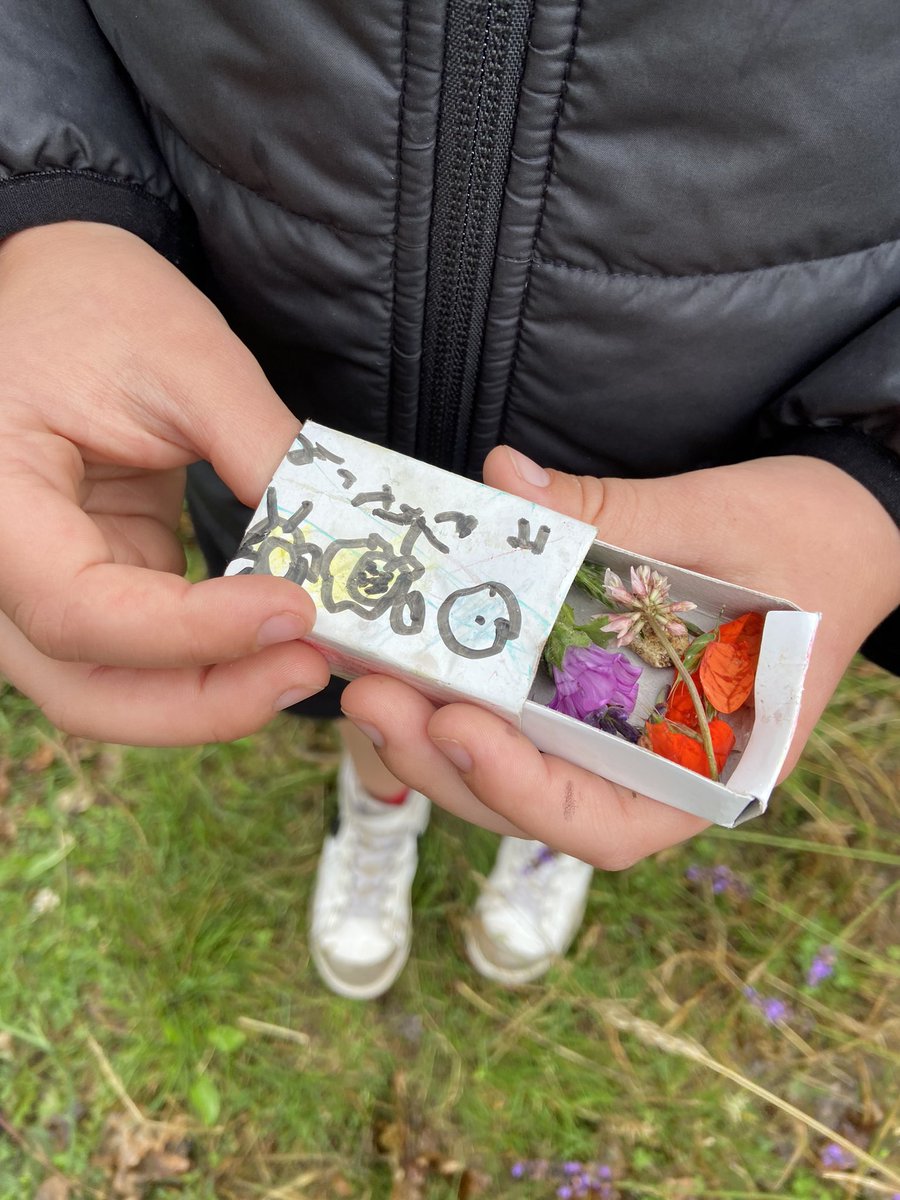 Little nature treasures in a matchbox. Fine motor skills and looking closely at what beauty we might miss in nature #childreninnature #schoolgardening