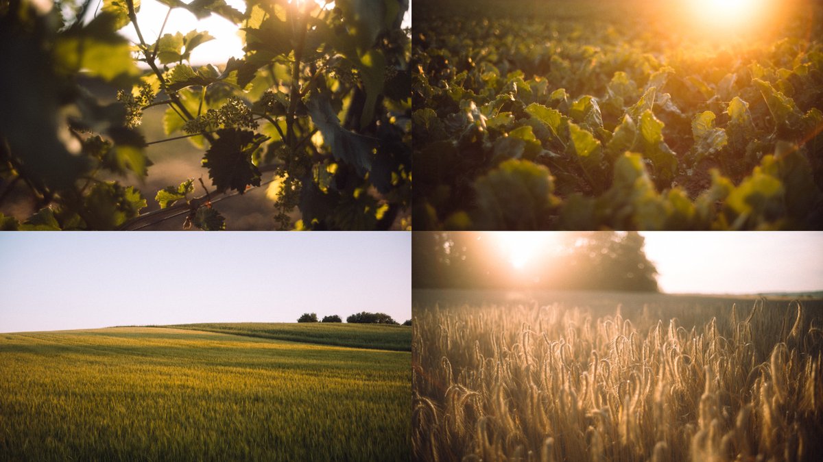 AdamaAgri tweet picture