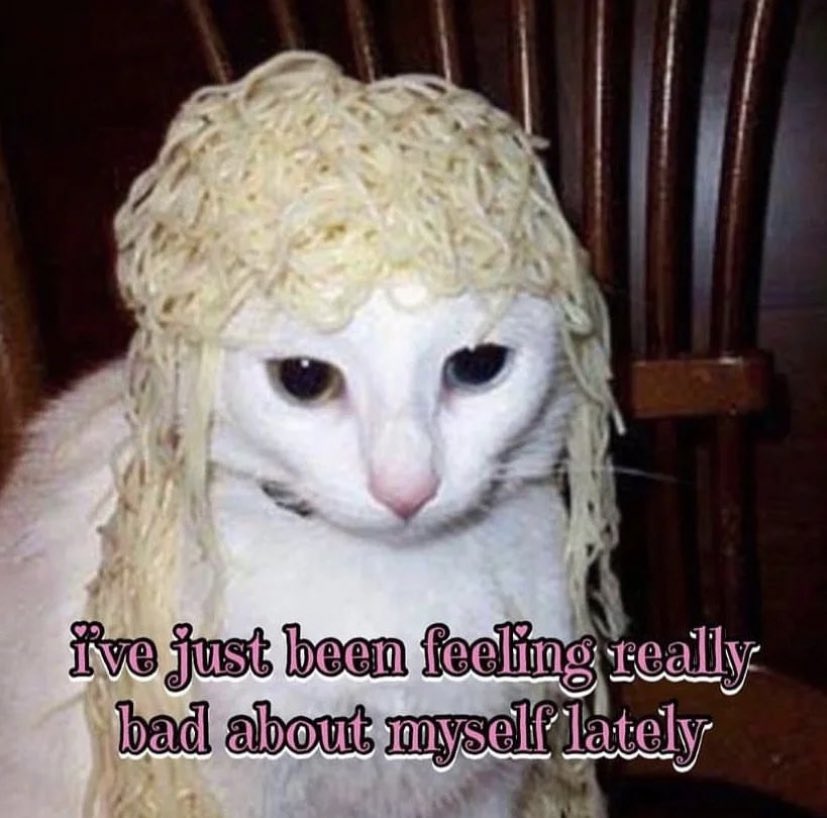 chaoticcatpics's tweet photo. https://t.co/ABOuSKVpfS