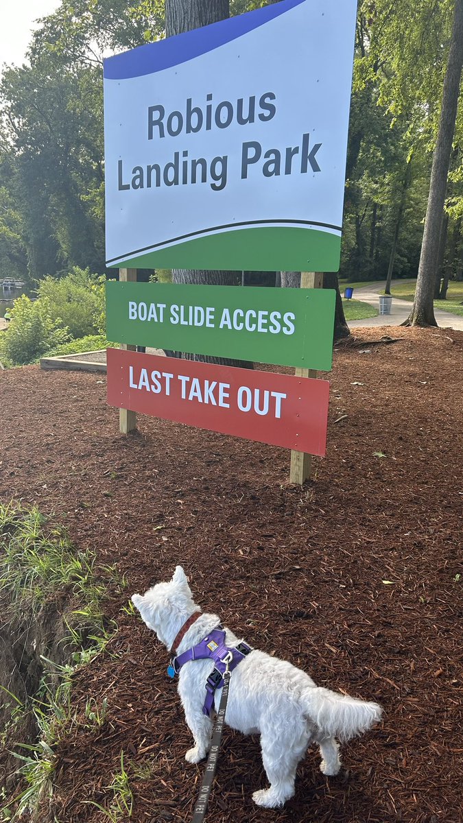 Barry Condrey tweet media