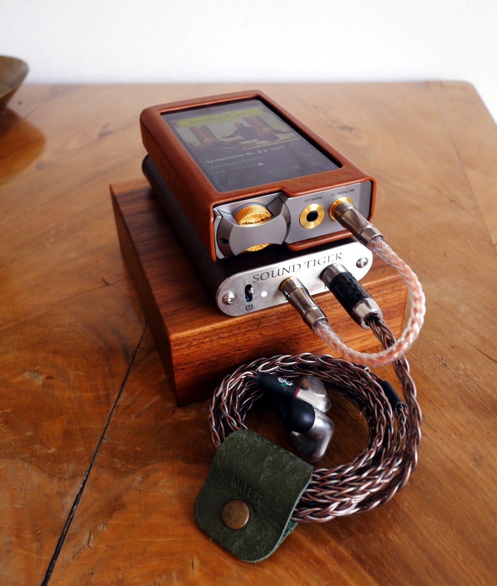 ウィーンのお客様からSOUND TIGER ConcertoとAfterglow Resolutionのご