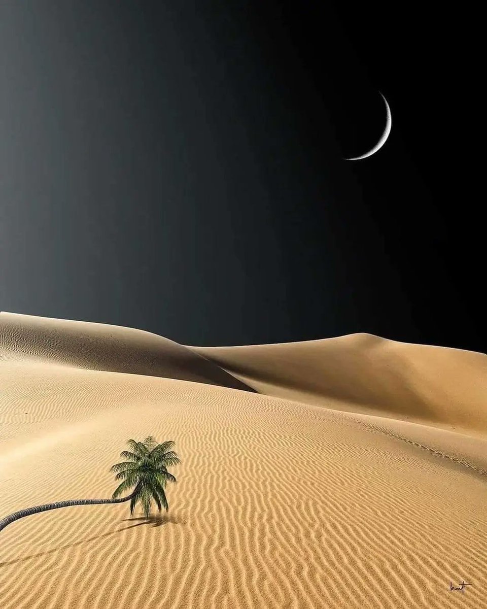 Believe you deserve it 
and the universe will serve it.

✨🌛