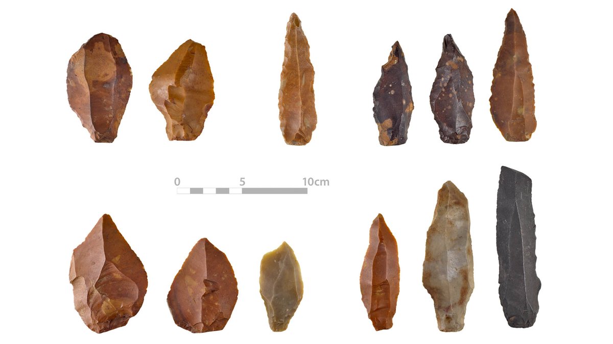 Discover the Hidden Value of 'Un-Extraordinary' #Flint Collections- this #MuseumBlog explains why "debitage" has allowed archaeologists to completely reconstruct how #prehistoric people created their tools. museum.ie/en-IE/Collecti… 
#RegistrationCorner #Museumology #Archaeology