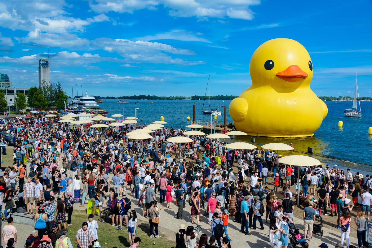 TheDuckCoin's tweet photo. gm lovely hoomans $DUCKIE https://t.co/7j7aWLHiKx