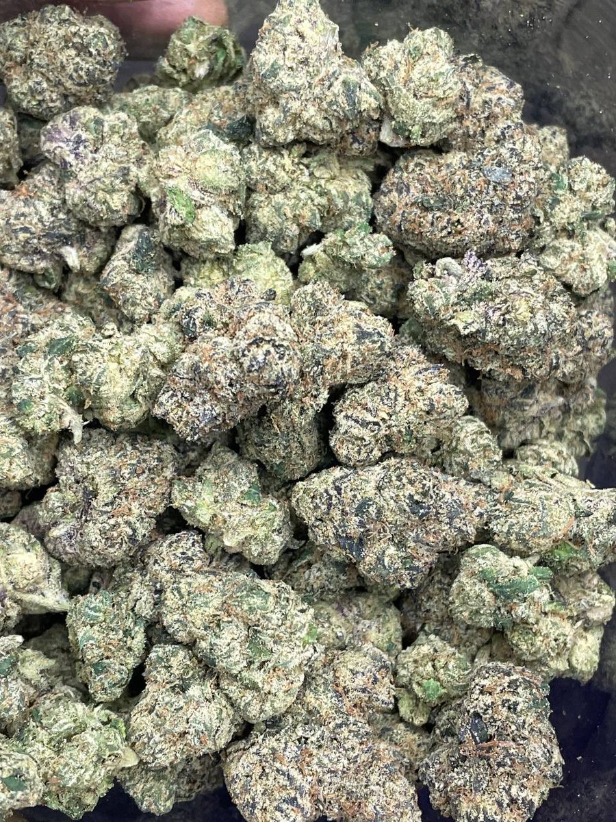 HoustonPlugGas's tweet image. Blue Candy Goonkies #houstonplug #Houstonmeets #springplug #htx #houstonmeetup #houstongas #htxplug #htxgas #cypressplug #conroeplug #houstonfreaks #nfsw