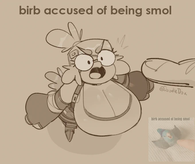 warmup. tiny birde 