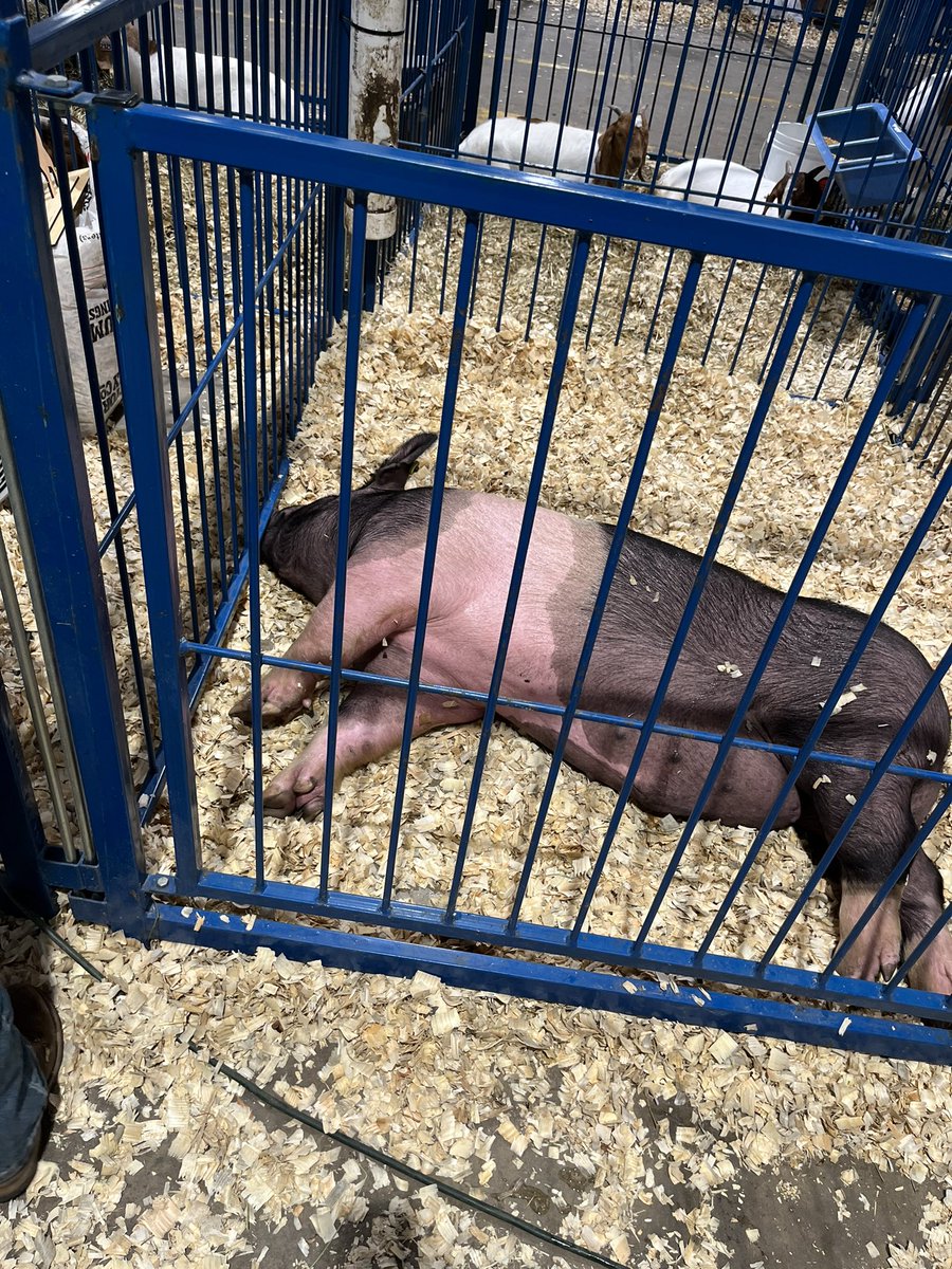 Jeffrey Tessier tweet media