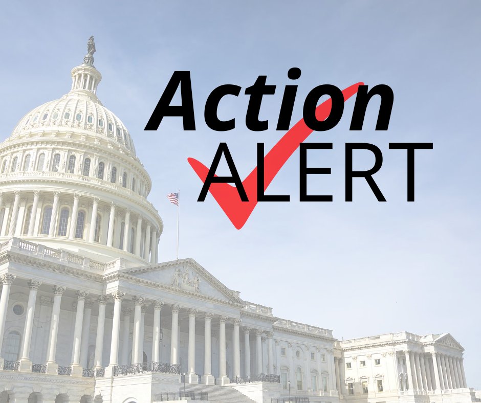 SRCCArizona's tweet photo. Action Alert: Immigration Inaction is Not an Option

Sign our letter. Congress and the Biden Administration must work together
https://t.co/2eSd9akMSj https://t.co/v8zgsvS6wr