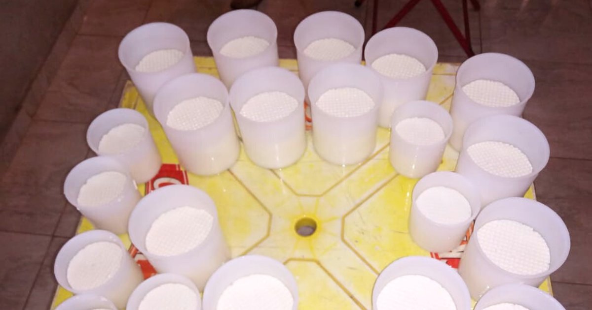 In Minas Gerais, Brazil, women and men in coffee farming communities can learn how to pasteurize cow milk and process it. 🧀🥛 This offers women in particular the opportunity to diversify and generate their own income alongside the family business of coffee growing. 🐄💰