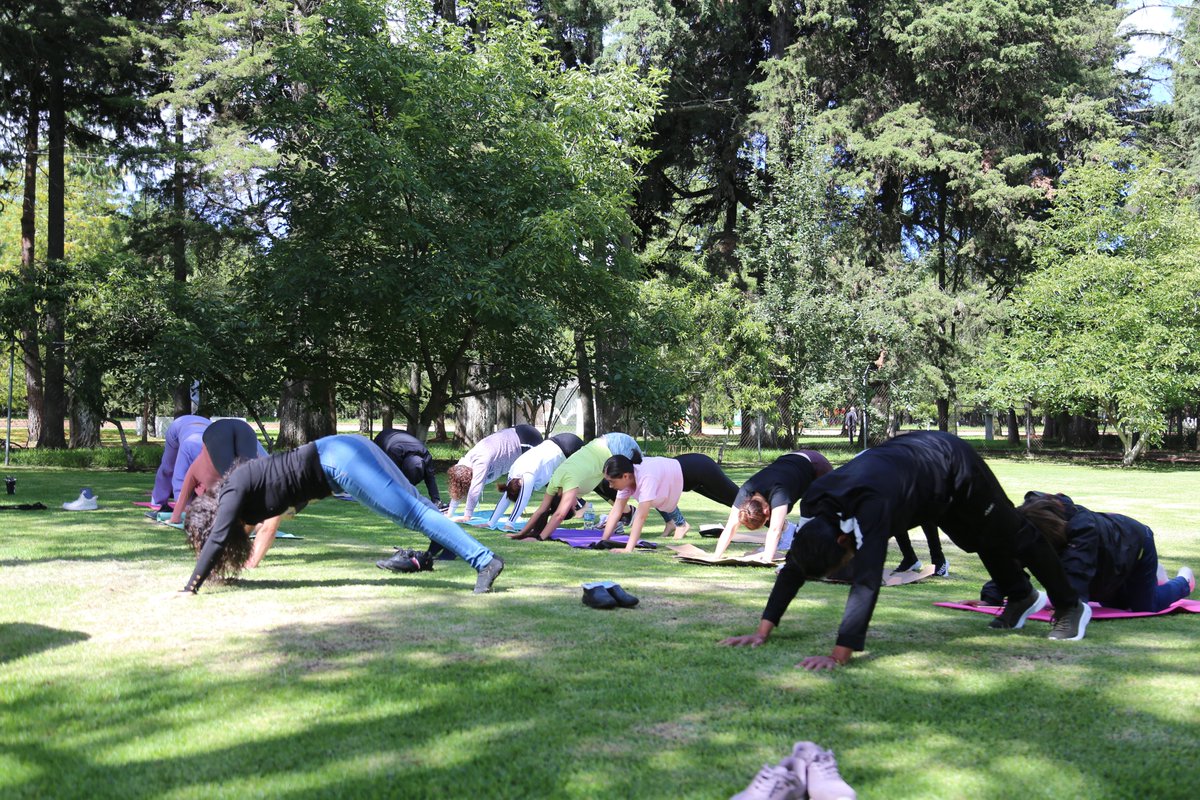 somoscecytem's tweet photo. Mañana de yoga en las áreas verdes de Dirección General, con la finalidad de continuar promoviendo el programa de #PROSABI. 🧘♀️🧘 https://t.co/XxTIE8D2BP