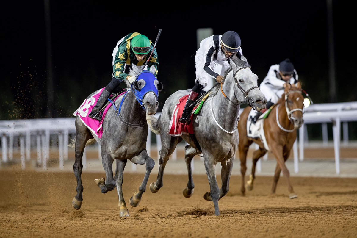 JockeyClubSA_EN's tweet photo. 🥇 KASSAB ALDHAM (Shibil Al Khalidiah) takes R8, the valuable 90-105 Arabian Horses Handicap, for 
Fahad Mohammed F. Aloraini.

#TaifSeason | #SaudiRacing https://t.co/ocWKJiV03w