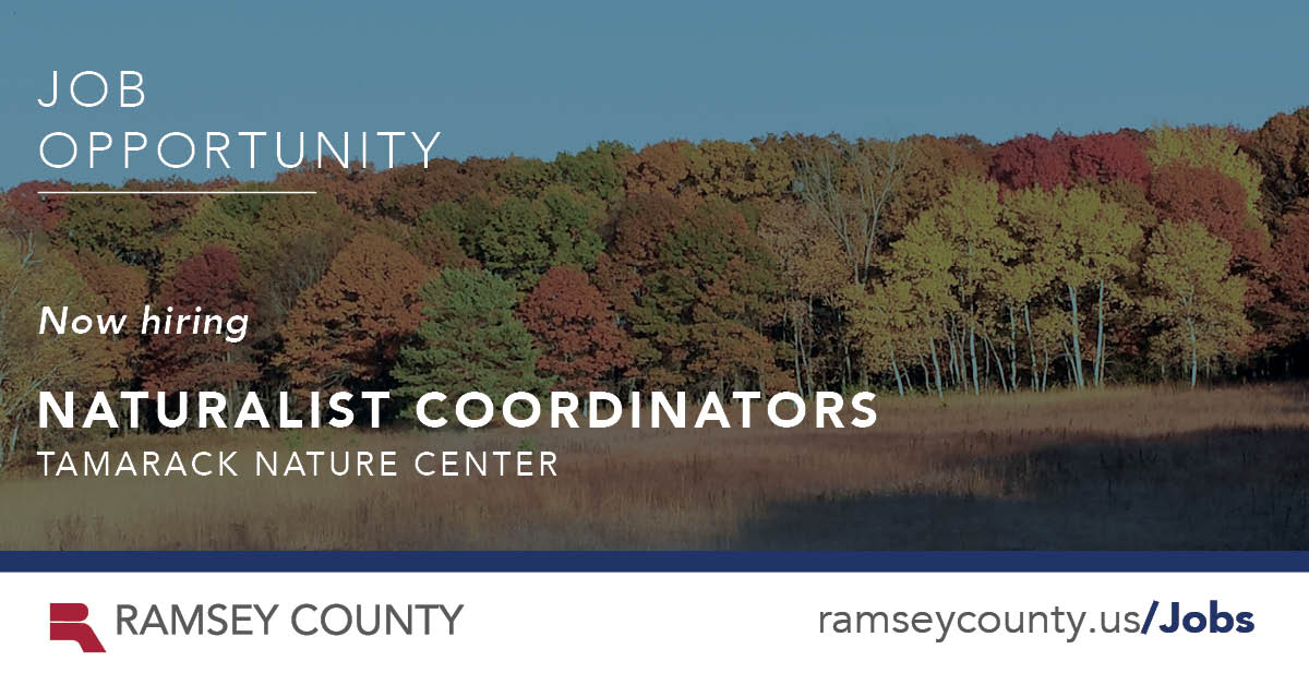 The county is hiring for two Naturalist Coordinators at Tamarack Nature Center:

Both positions involve staff and volunteer leadership, planning and organization, and outreach to racially and ethnically diverse residents.

Learn more and apply: governmentjobs.com/careers/ramsey…
