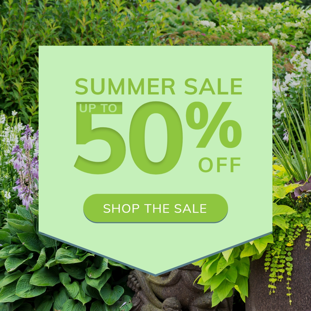 Does your garden need an upgrade for summer? ✨

Fear not, our summer sale is here! Shop our huge savings of up to 50% across categories to create the perfect garden paradise. 

Shop: primrose.co.uk/sale