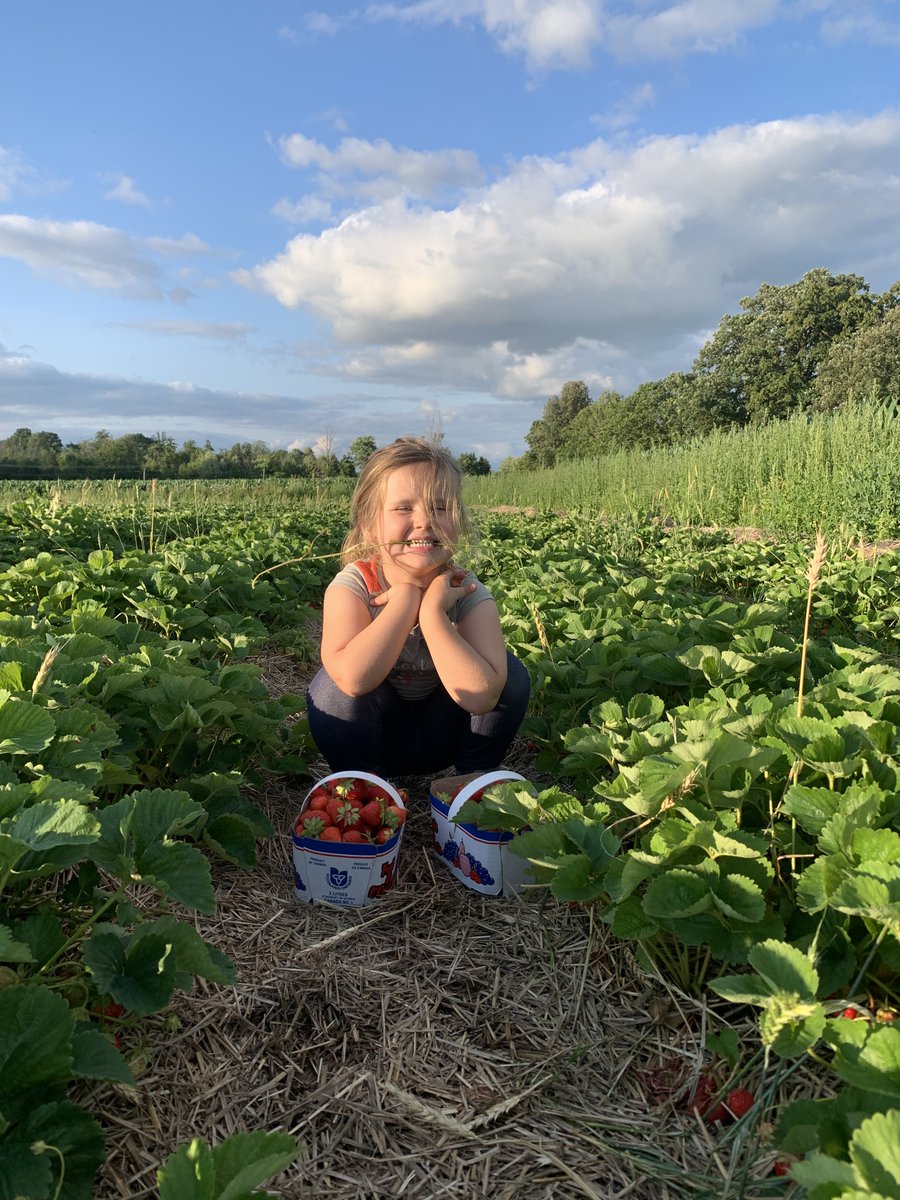 HaltonBusiness's tweet image. Shop local and buy directly from our farmers! Discover Halton's interactive Simply Local map to find out where to pick-your-own produce, purchase garden products, and enjoy recreational activities across the region: ow.ly/9ann50PbFHv #SimplyLocal #UncleScottsFarm