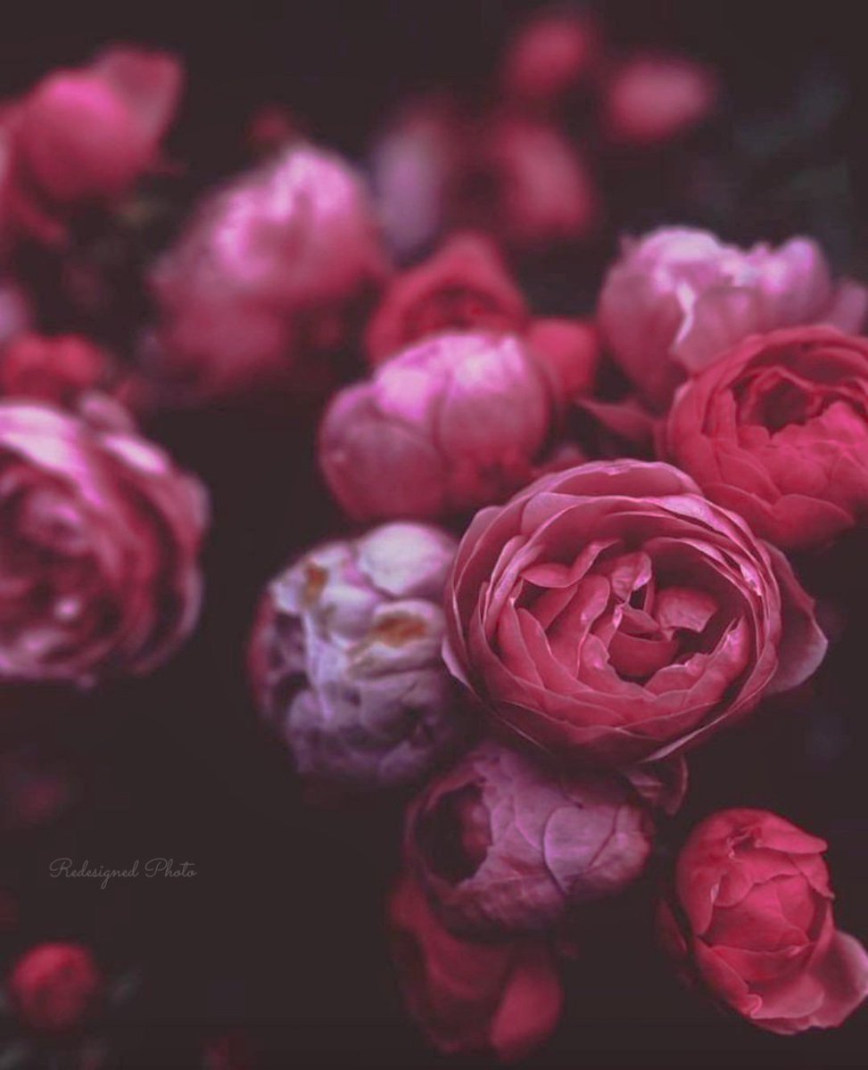 t_hellome9326's tweet photo. °˖❁˖~ peace &amp; love ~˖❁˖° 

Only the truth of who you are, 
if realized, will set you free…

~unknown

•°˖❀˖* smile °˖❀･ﾟ･˖ ˖° https://t.co/4GFMhAOlUW