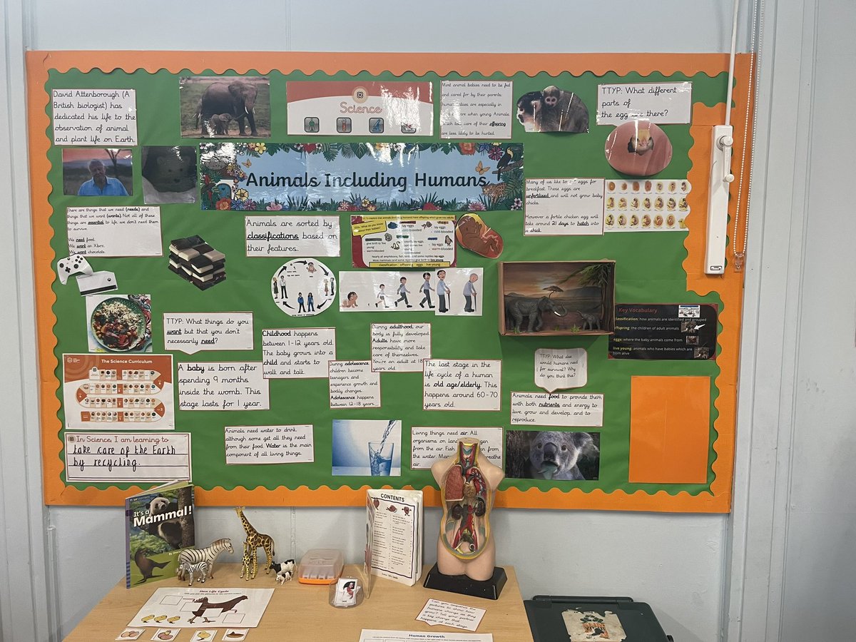 missk_reynolds's tweet photo. September 2023 here we come! π― Science, Geography and History to match our #LionLearningPathways π¦ @LionAcTrust and core subjects ready to hit the ground running! @DaleJukes @EH1_2 @KRidnell @SarahChouikhi #TeamWarwick #Curriculum #Learning #Vocab #BroadandBalanced #ready https://t.co/q5Md3S2zzj