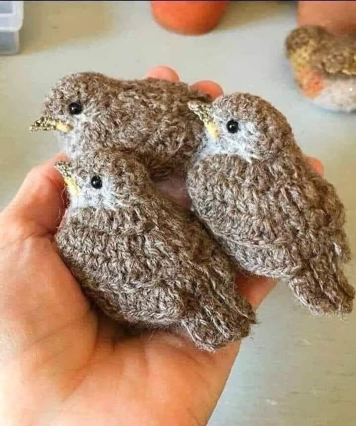 Italymario's tweet photo. Pajaritos tejidos en crochet,  verdad que parecen reales? https://t.co/kOC0Zj0f5M