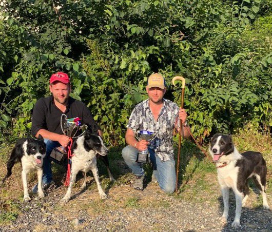 CSJ Dog Food tweet media