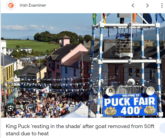 AnimalPartyIE's tweet photo. Kerry PAW (Party for Animal Welfare) PROTEST ON SATURDAY 12th @ 2pm at the King Puck statue. PLEASE JOIN US. ππ
Share link: https://t.co/P6JIvdc9lp
#Puckfair warrants #RTEinvestigates too! #BanPuckFair ππ #BanBloodSports #EndAnimalsInEntertainment π https://t.co/4BsxbNYUkh