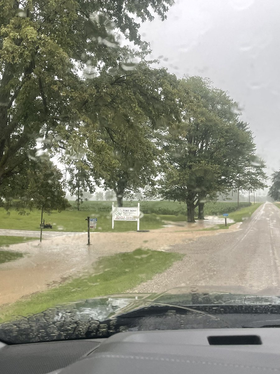 nelson mclachlan tweet media