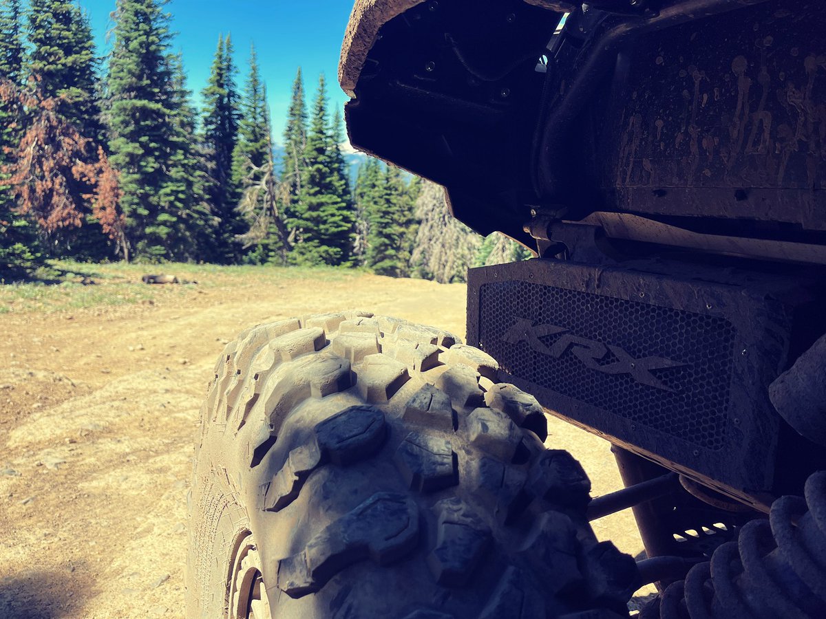 MidRdAdventure's tweet image. 