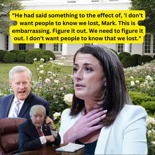 BlueTsunami2024 On Twitter Cassidy Hutchinson Testified That Trump here-are-the-names-and-titles-of-all-19-people-charged-in-georgia-case