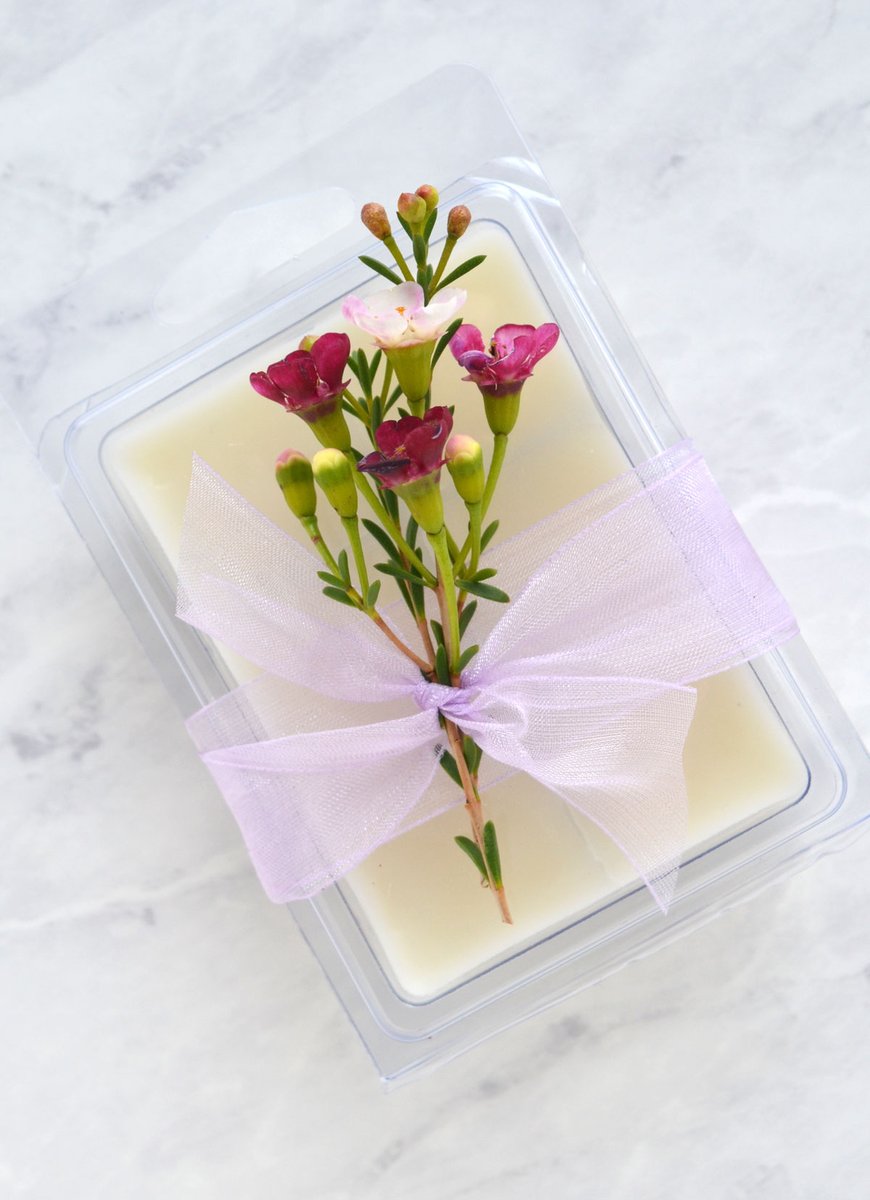 ElementsBB's tweet image. 🥰We just love these gorgeous wax melts created by the ever-so-talented Terri Endsley of Tree Marie Soapworks. Teri created this tutorial for us some time ago and we still adore it!

Find this tutorial at 👉learning.elementsbathandbody.com/tutorial/wax-m…

💜💙💚

#soapmaker #soapmaking #waxmelts