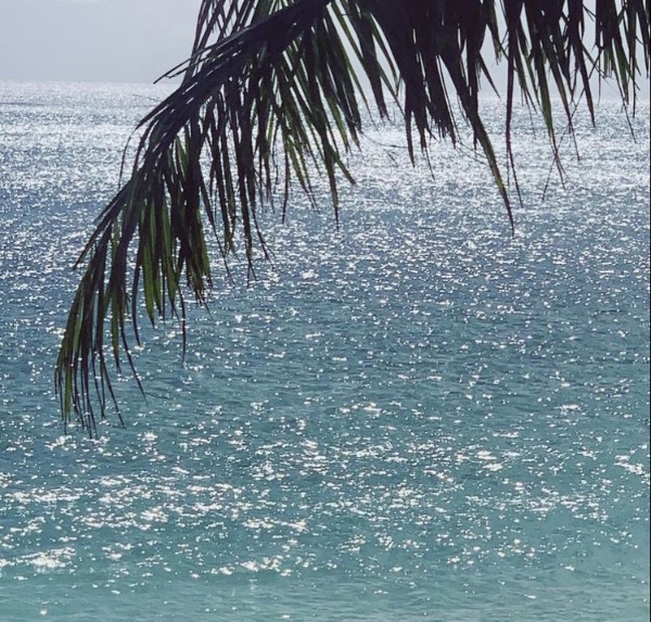 fromkyahseyes's tweet photo. Beach days🏝️🥥🐚💦 https://t.co/LgcpxDDQ4j
