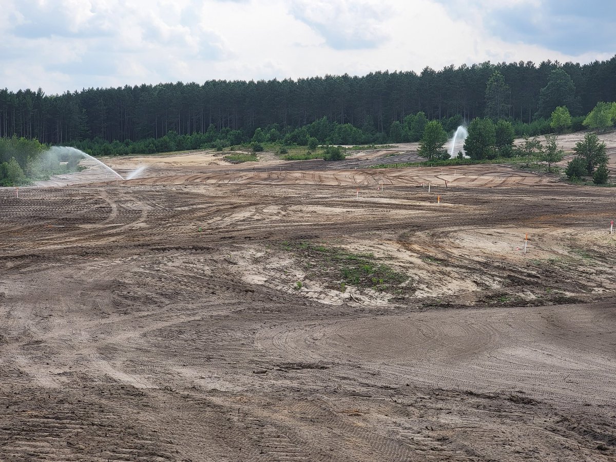 Dan Lucas tweet media