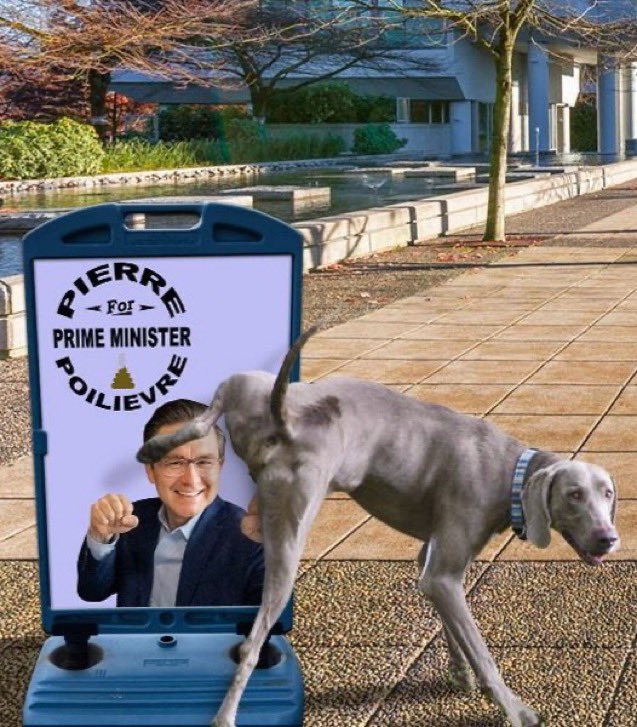 krikket177's tweet photo. @ItsDeanBlundell #DollarStoreDonaldTrump https://t.co/6WPuXBFUsx