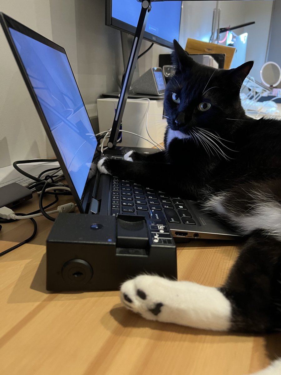 been working on <a href="/UsePenrose/">Penrose</a> v3 lately and it's live now! check out our blog post to see what's new: penrose.cs.cmu.edu/blog/v3. special thanks to new coworker