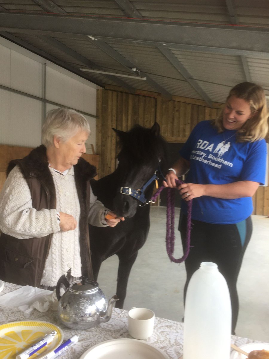 TheBeeches_AH's tweet image. Tea with a pony at badger&apos;s farm.. @AnchorBeactive @AnchorLaterLife @NAPAlivinglife