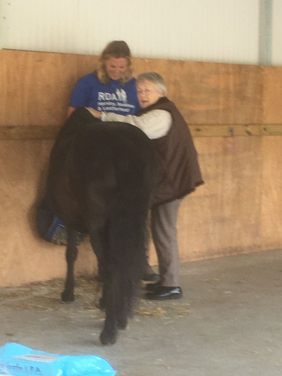 TheBeeches_AH's tweet image. Tea with a pony at badger&apos;s farm.. @AnchorBeactive @AnchorLaterLife @NAPAlivinglife