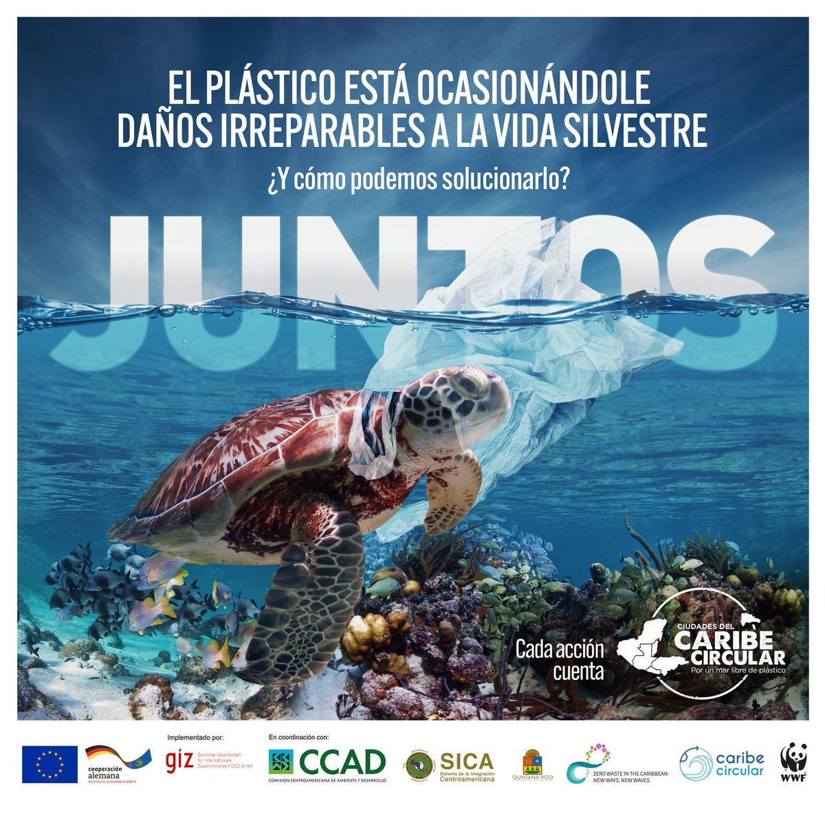 WWF_MAR's tweet image. 📢🌊 Proteger nuestros arrecifes es tarea de todos. ¡Únete a la lucha contra el plástico y conservemos la belleza de nuestros océanos! 💙💪 #SinPlástico #PreservemosLosArrecifes #VidaMarina

Descubre cómo puedes contribuir en nuestro sitio web: bit.ly/ciudadescaribe…

@CCADSICA…