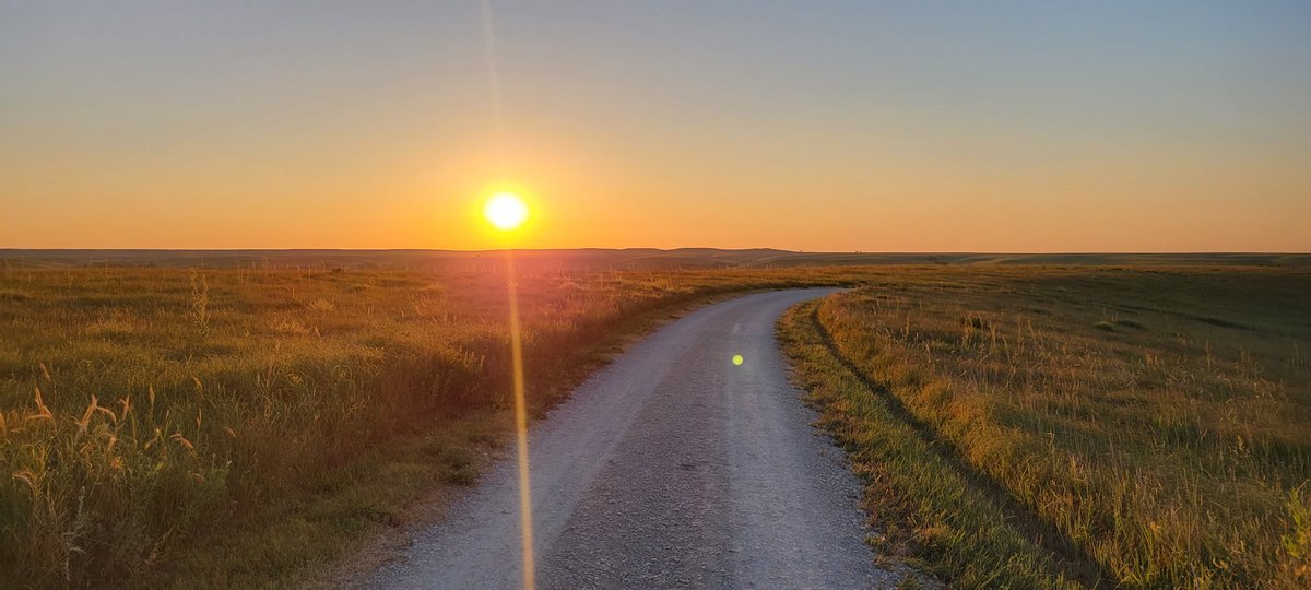 Brian Mann tweet media