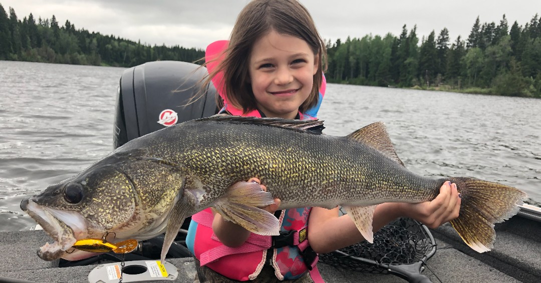 Who's going on the fishing adventure of a lifetime in MB this weekend? Let's see those fish pics! 

📸Wekusko Falls Lodge

#mloa #huntfishmb #manitobamasterangler