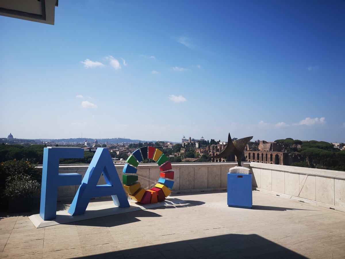 We are ready! 🔥💪😎

#ECLLD with a stand at the 19th Regular Session of the #Commission on #Genetic #Resources at @fao 🍆🍅🥬🌽🌾

Stay tuned for next week updates, here are all the info of the meeting: fao.org/cgrfa/meetings…